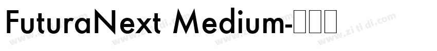 FuturaNext Medium字体转换